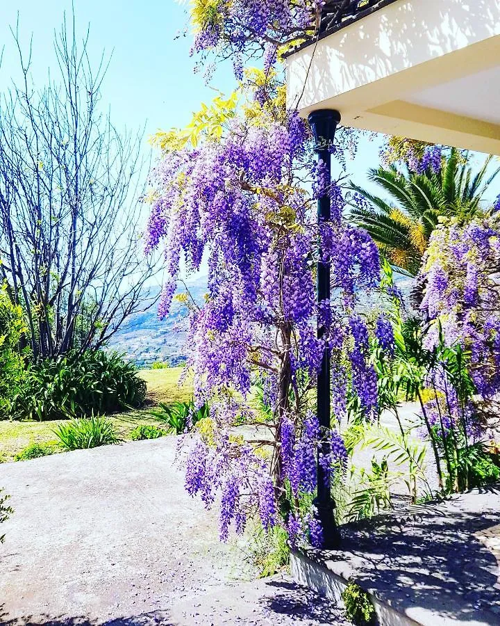 Quinta Do Cabouco Hotel Ribeira Brava