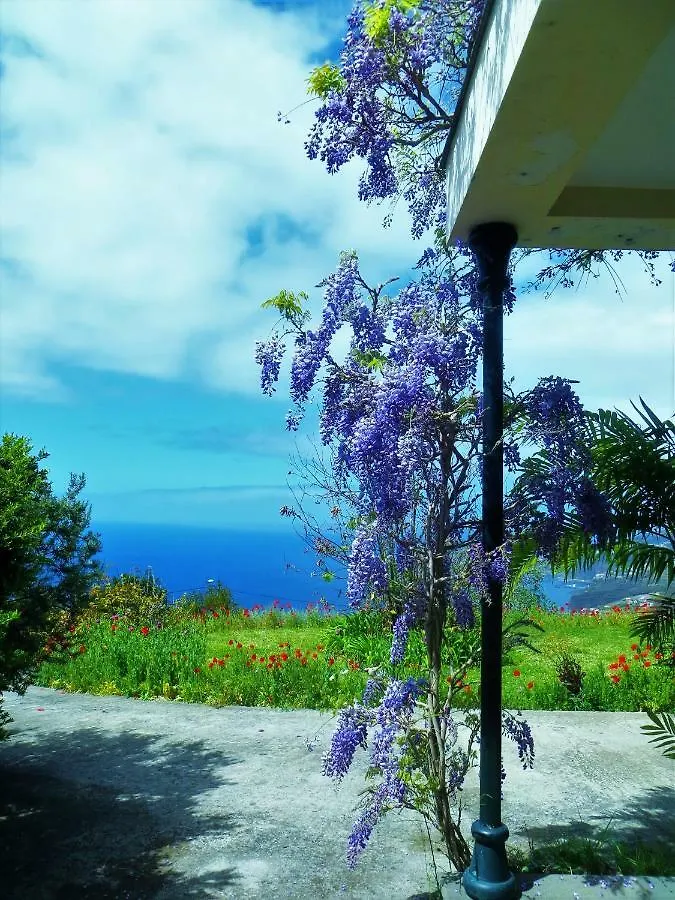 Quinta Do Cabouco Hotel Ribeira Brava