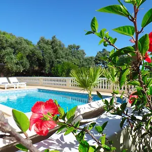 Panoramic Paradise , Sao Bras de Alportel Portugal